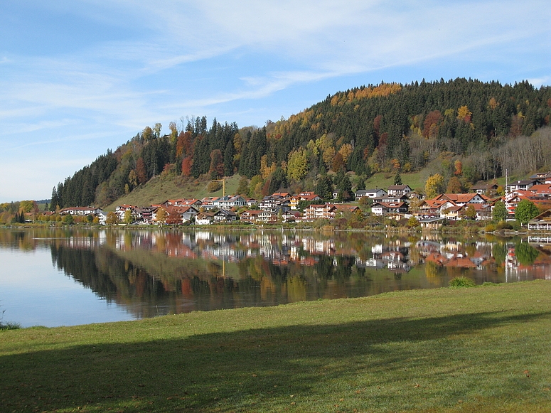 Hopfen am Hopfensee Herbst 2011