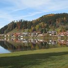 Hopfen am Hopfensee Herbst 2011