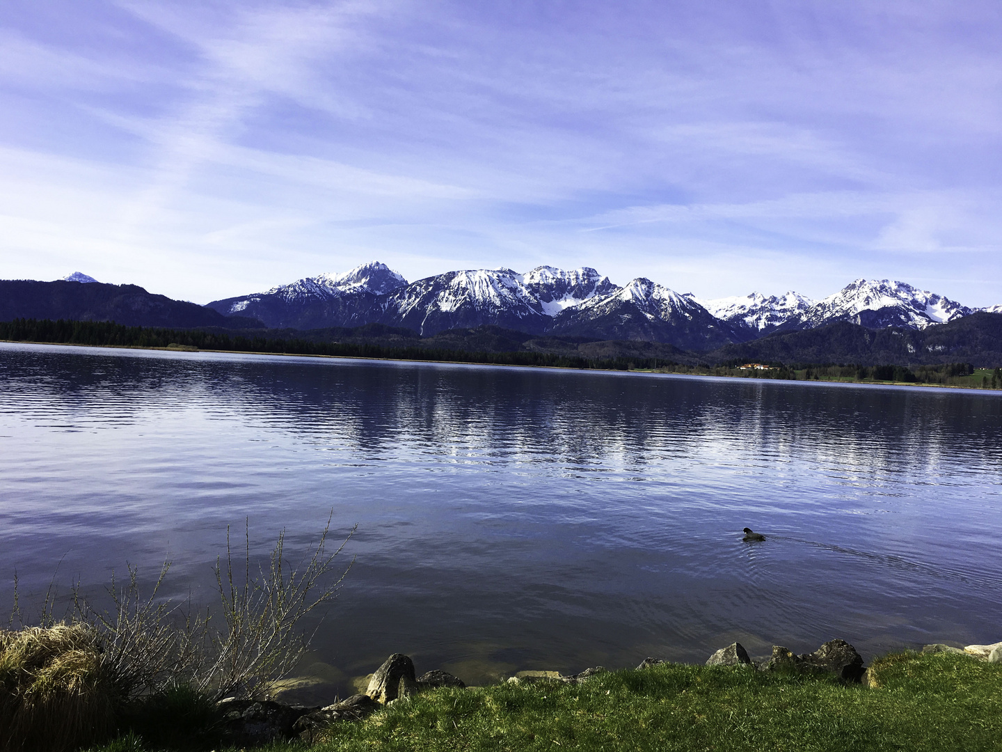 Hopfen am See