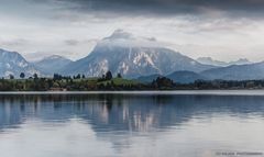 Hopfen am See