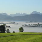 Hopfen am See