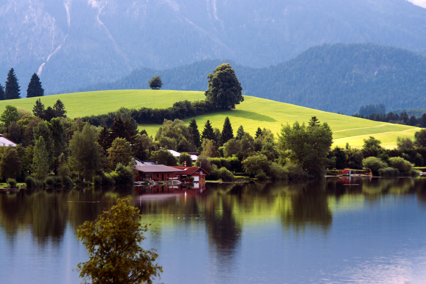 Hopfen am See