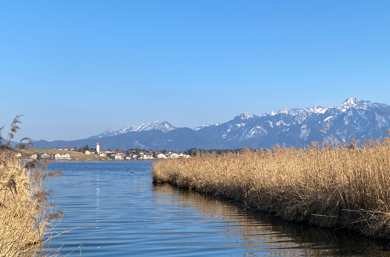 Hopfen am See