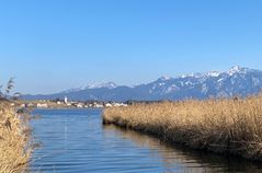 Hopfen am See