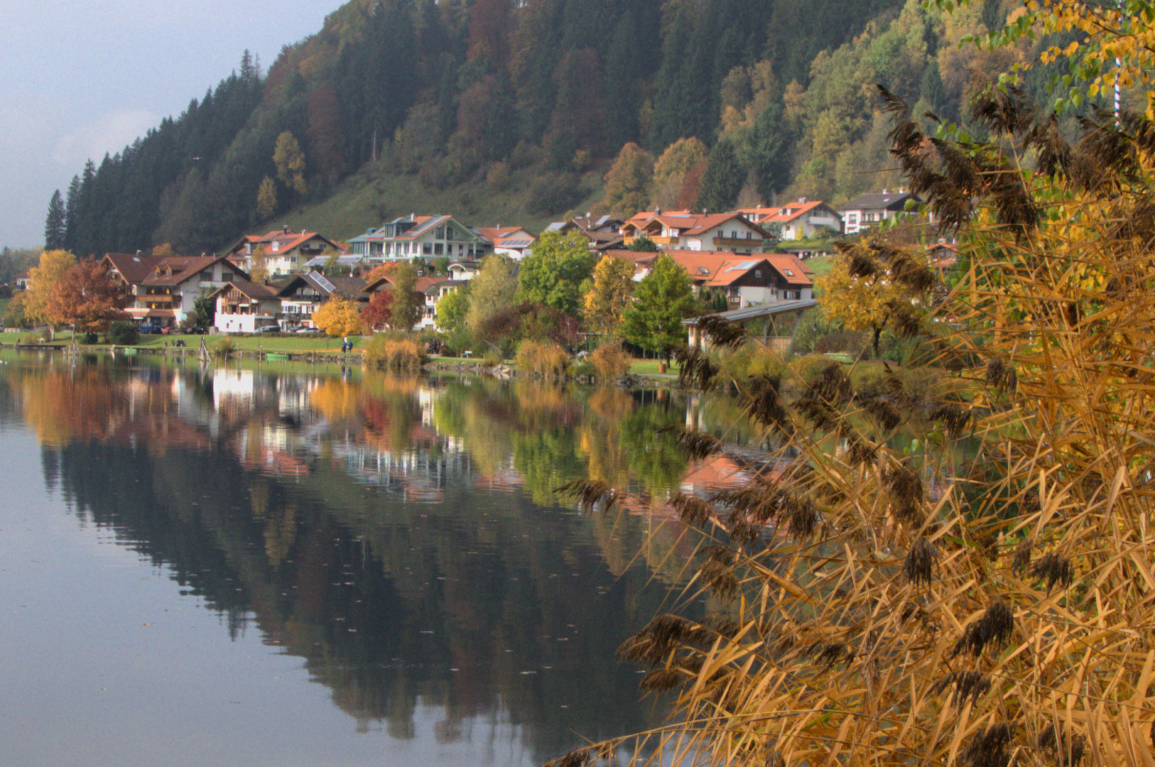 Hopfen am See