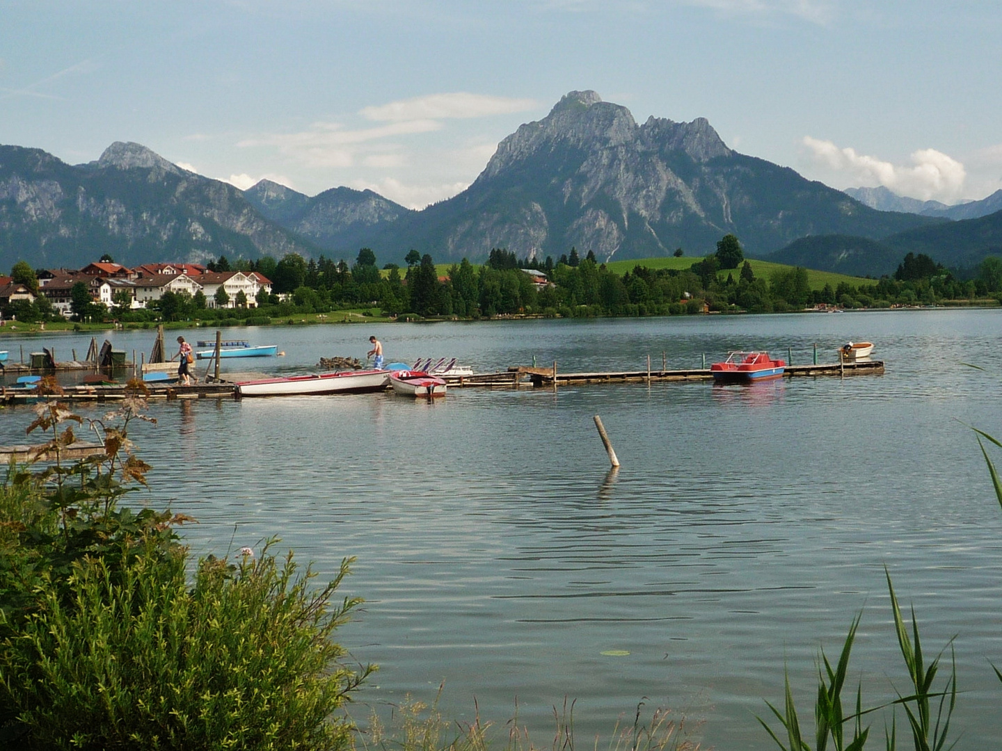 Hopfen am See gegen Säuling