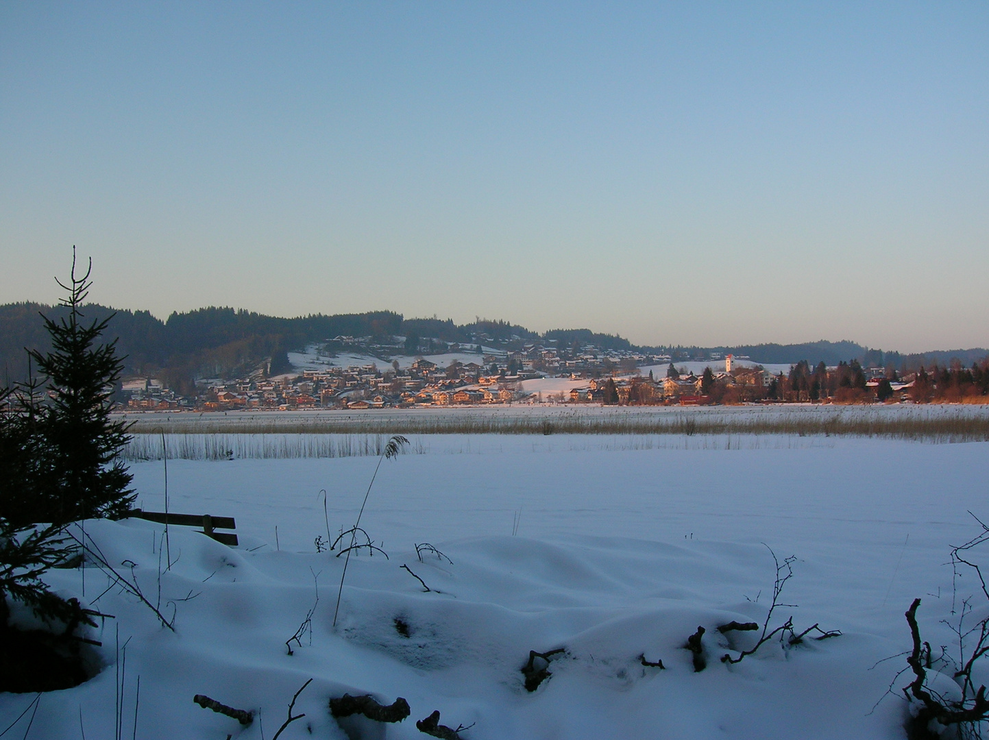 Hopfen am See im Winter