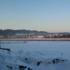 Hopfen am See im Winter