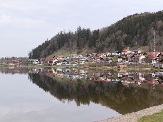 Hopfen am See P1070203 ori klein