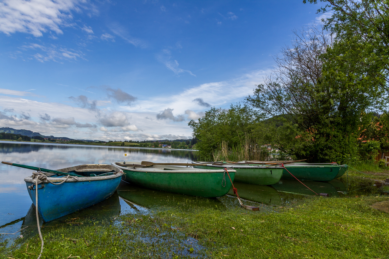 Hopfen am See_2