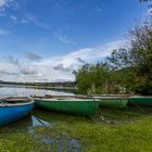 Hopfen am See_2