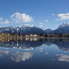 Hopfen am und im See