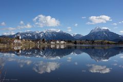 Hopfen am und im See