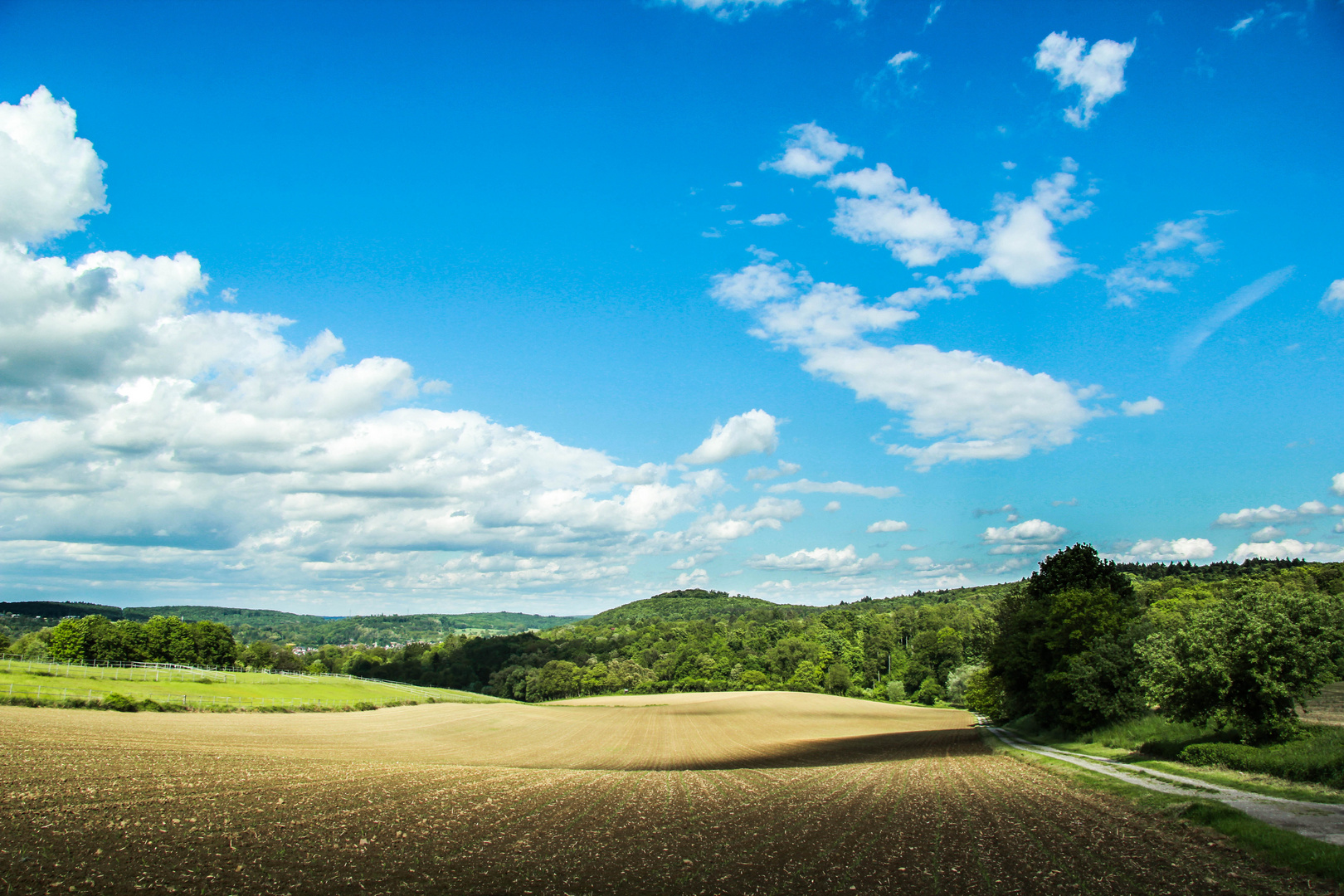 Hopfenberg #4