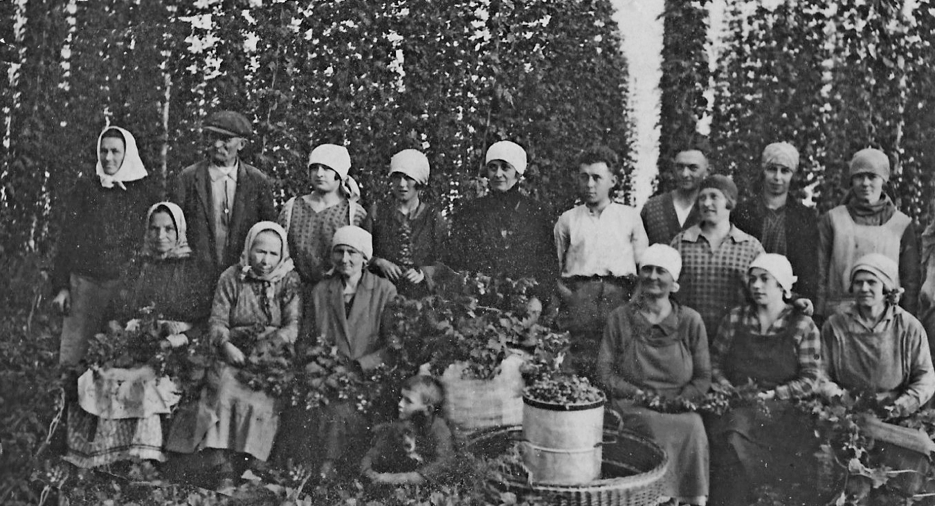 Hopfenernte 1928