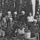 Hopfenernte 1928