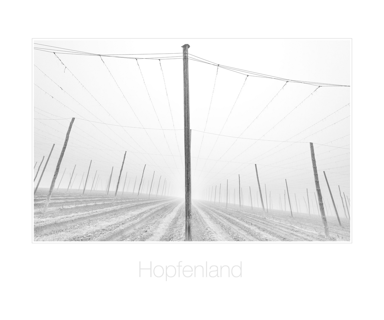 Hopfenland