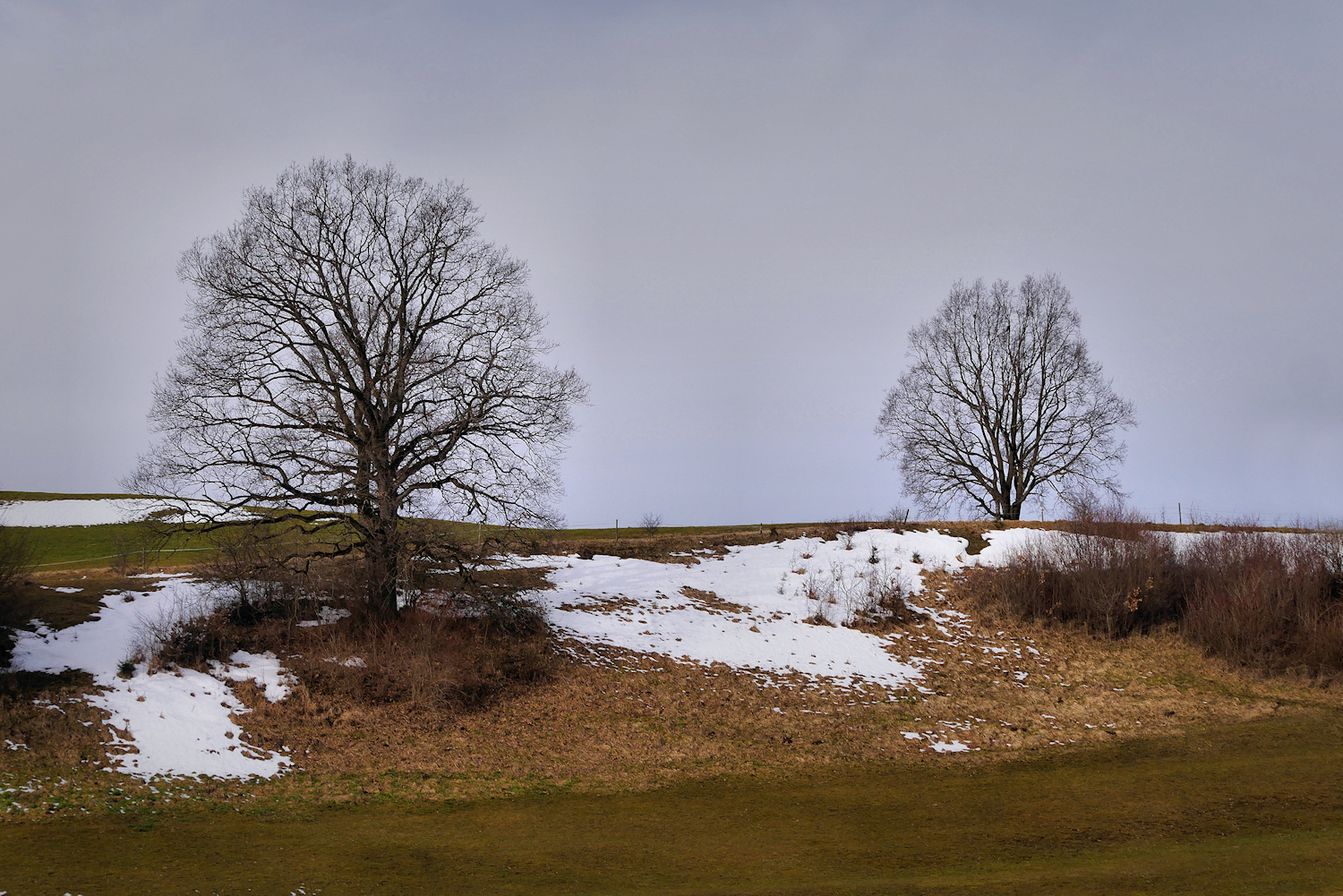 Hopfensee