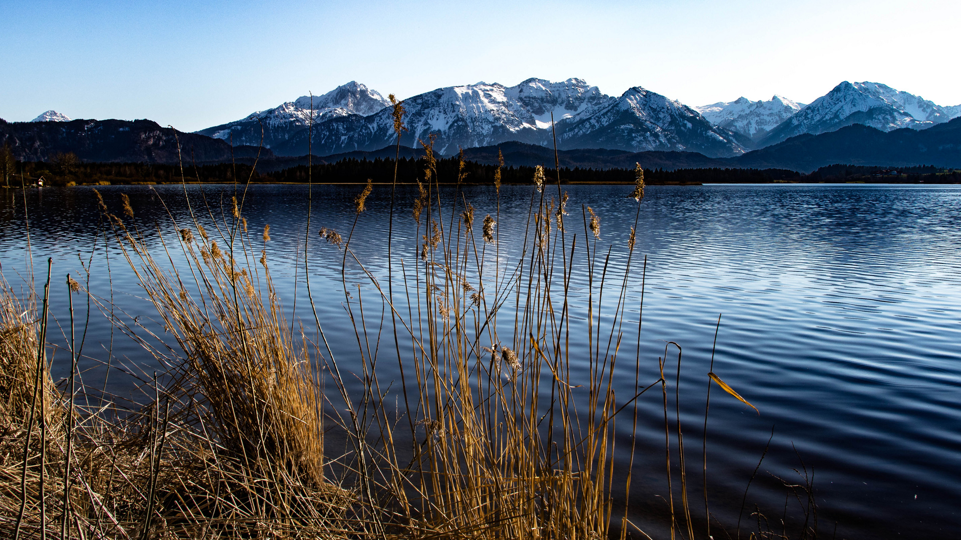 Hopfensee