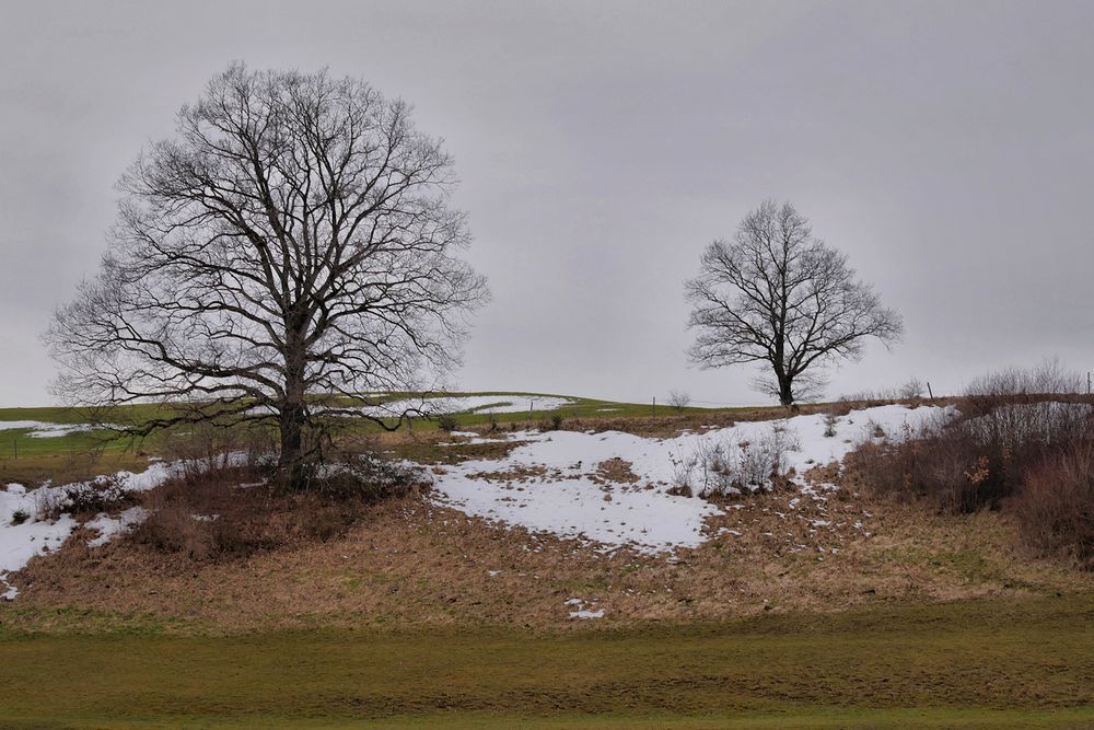 Hopfensee