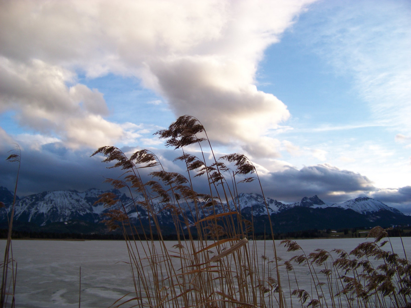 Hopfensee