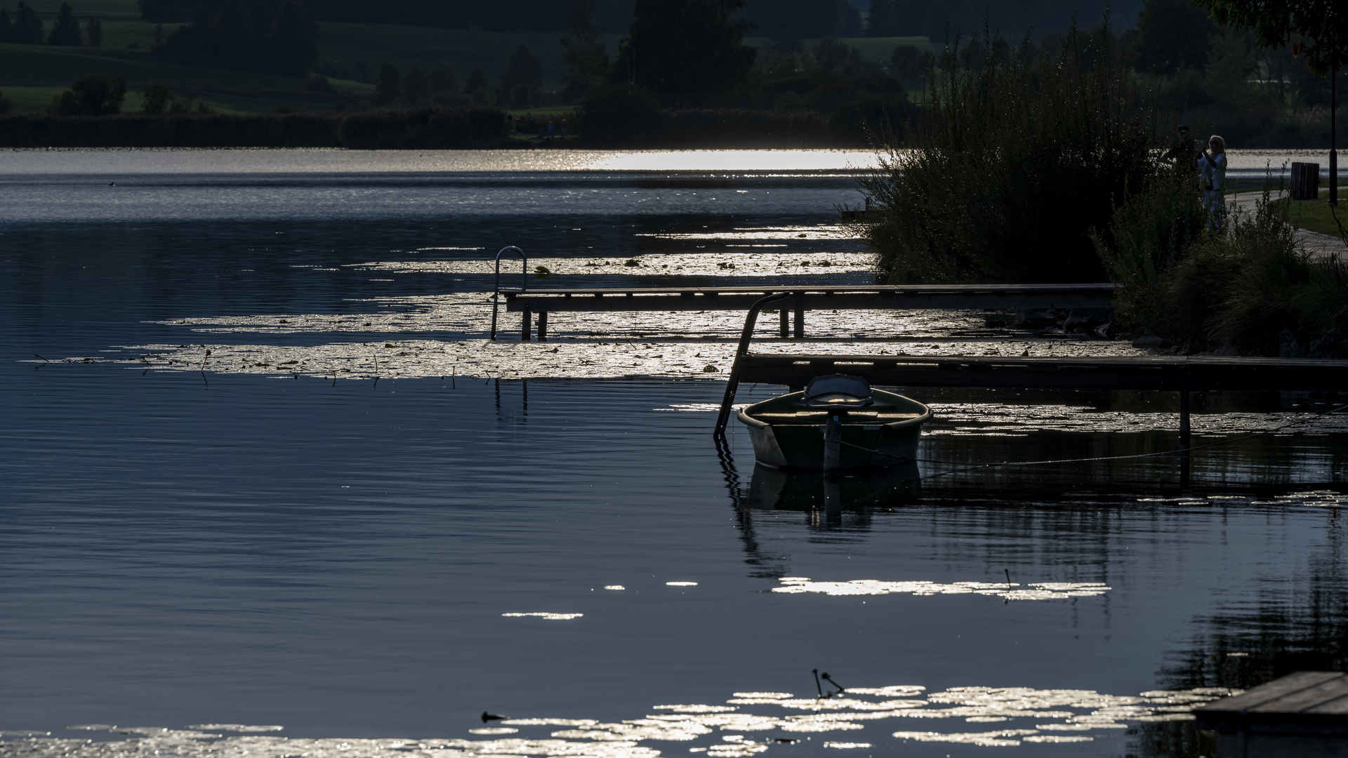 Hopfensee "Abends im Gegenlicht"