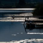 Hopfensee "Abends im Gegenlicht"