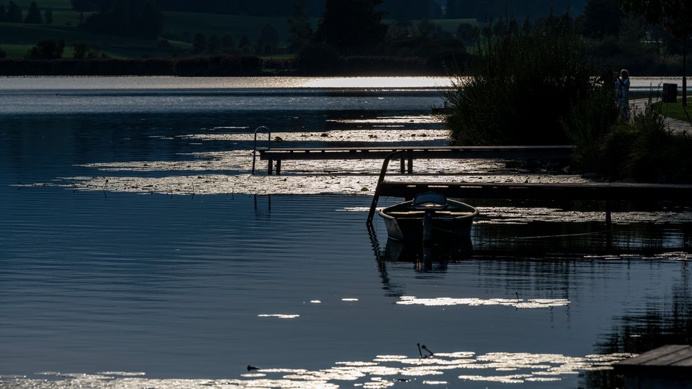 Hopfensee "Abends im Gegenlicht"