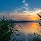 Hopfensee Abendstimmung