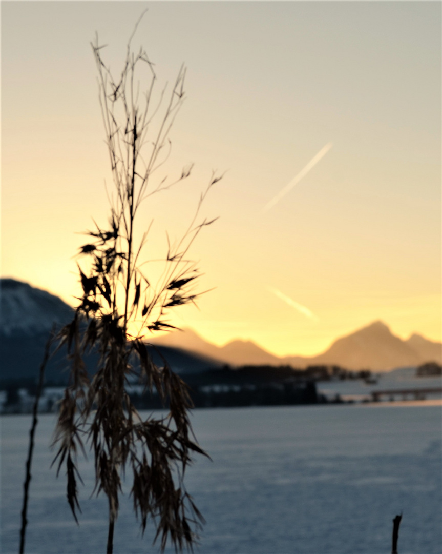 Hopfensee bei Füssen