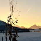 Hopfensee bei Füssen