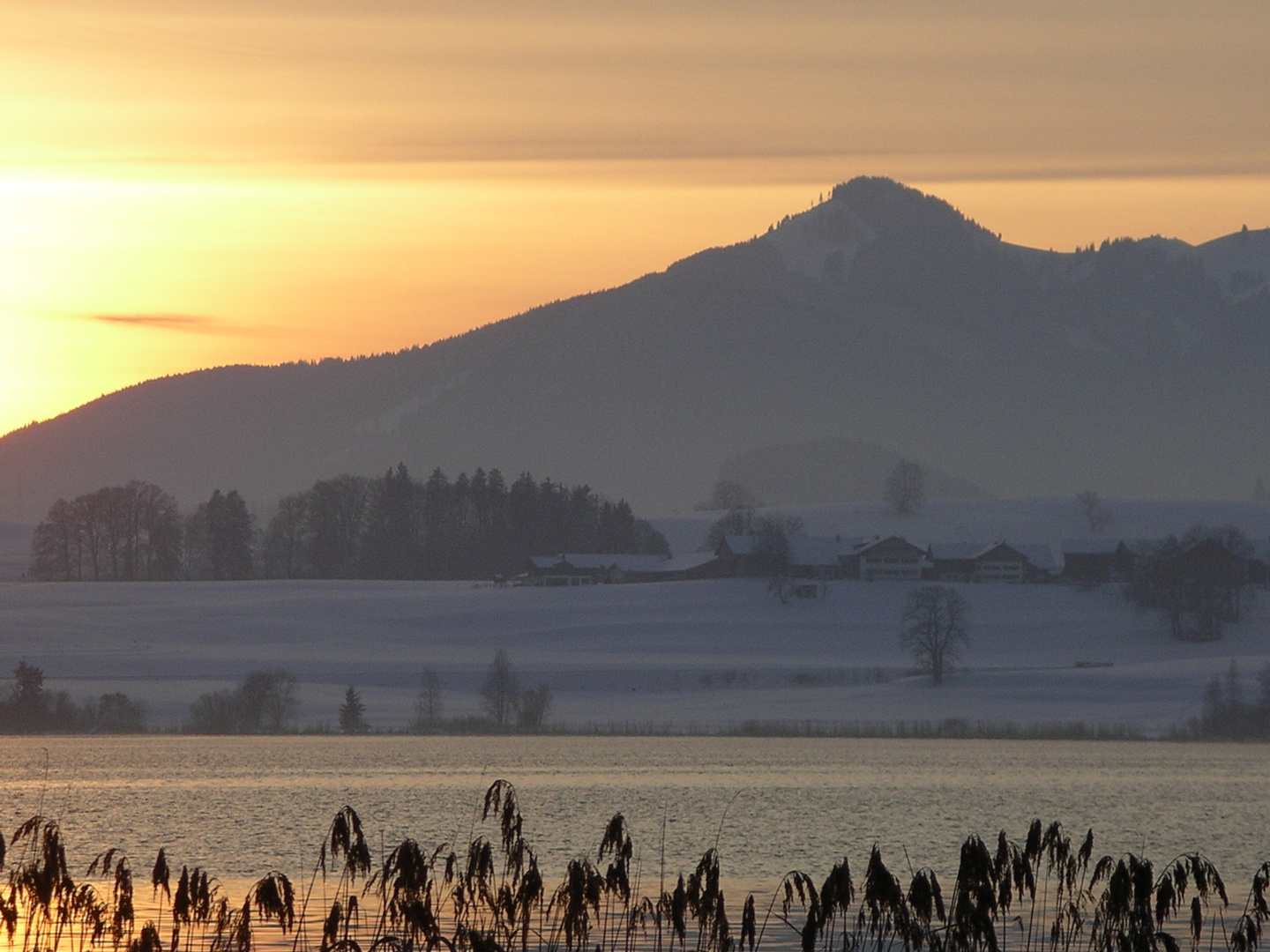 Hopfensee