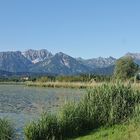 Hopfensee Füssen