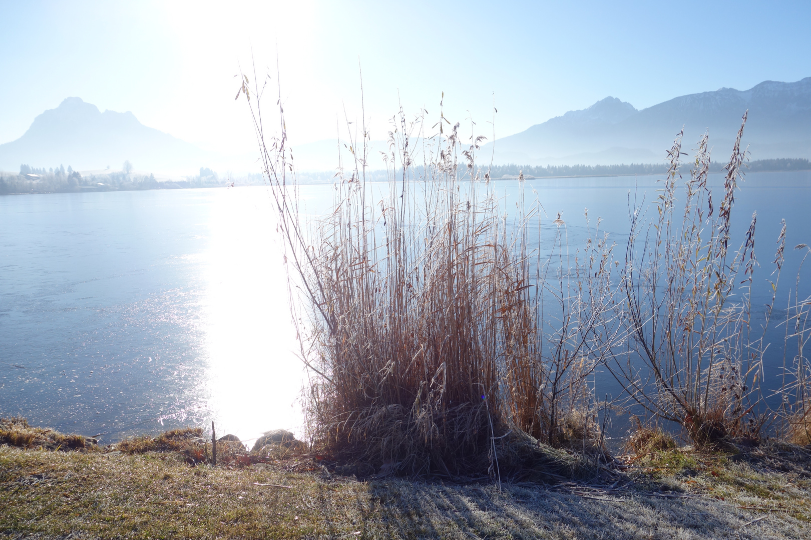 Hopfensee im Allgäu