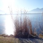 Hopfensee im Allgäu