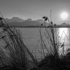 Hopfensee im Winter