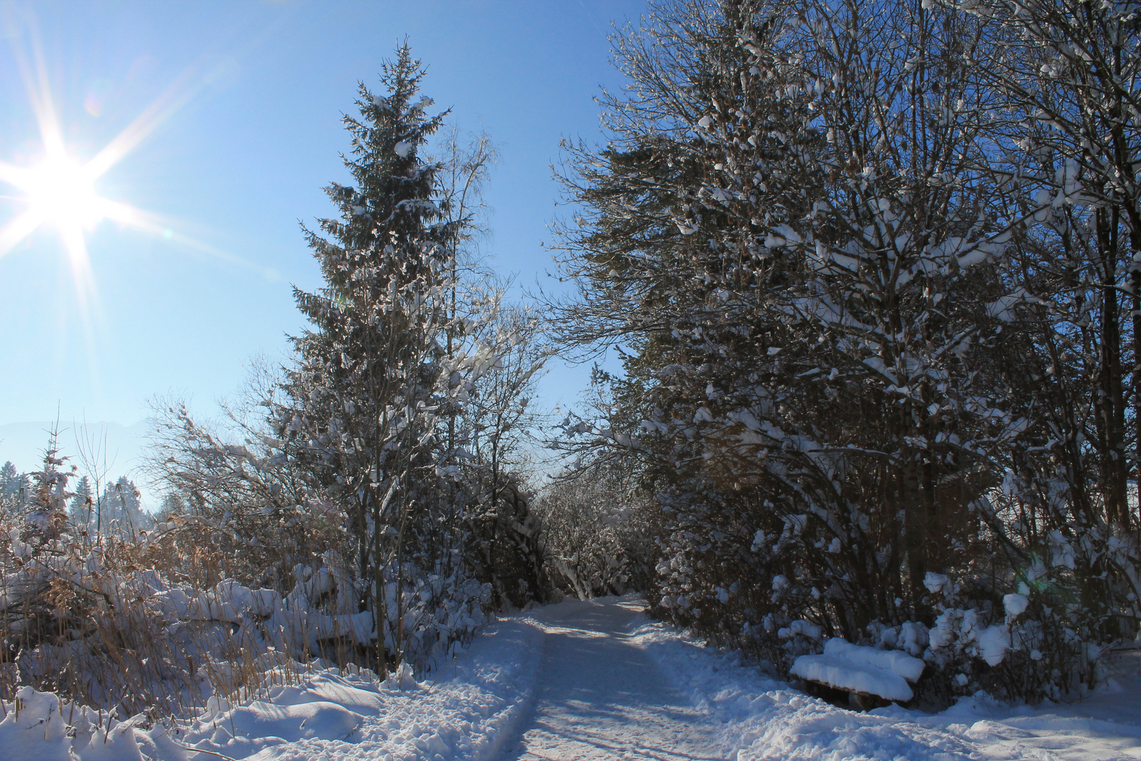 Hopfensee im Winter II