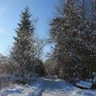 Hopfensee im Winter II