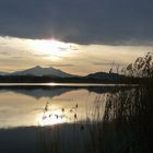 Hopfensee-Impressionen (1)