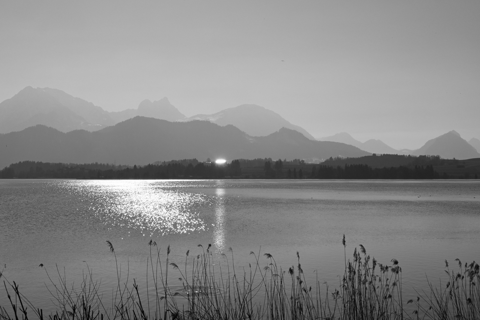 Hopfensee in sw