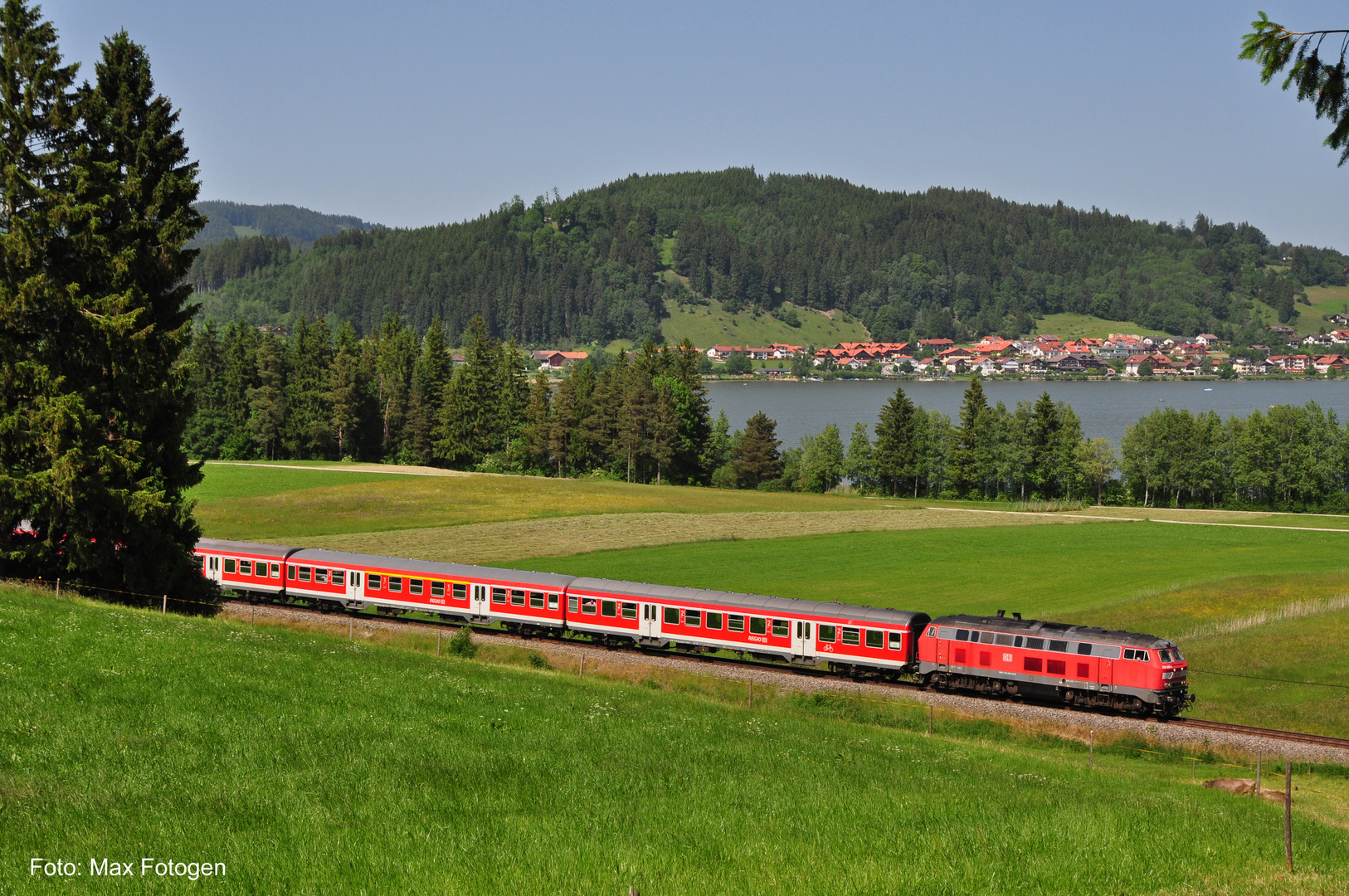 Hopfensee - Juni 2014