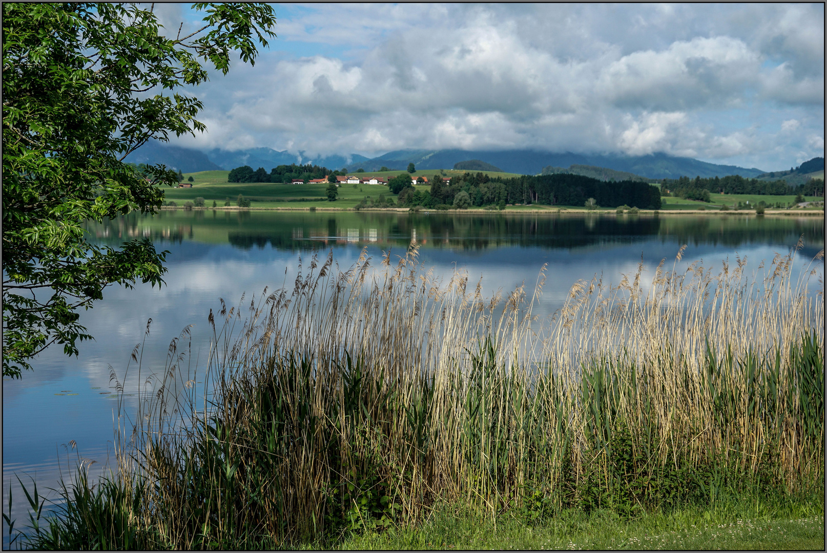 Hopfensee / Ostallgäu (2)