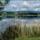 Hopfensee / Ostallgäu (2)