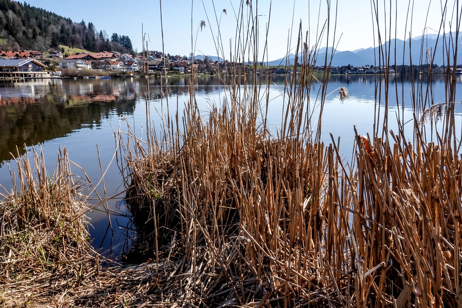 Hopfensee / Ostallgäu