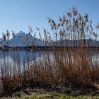 Hopfensee / Ostallgäu