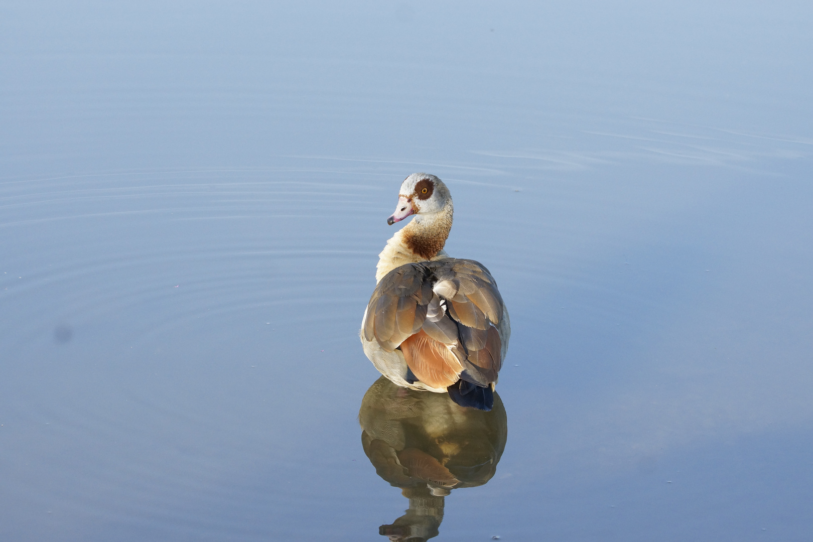 hopp ins Wasser