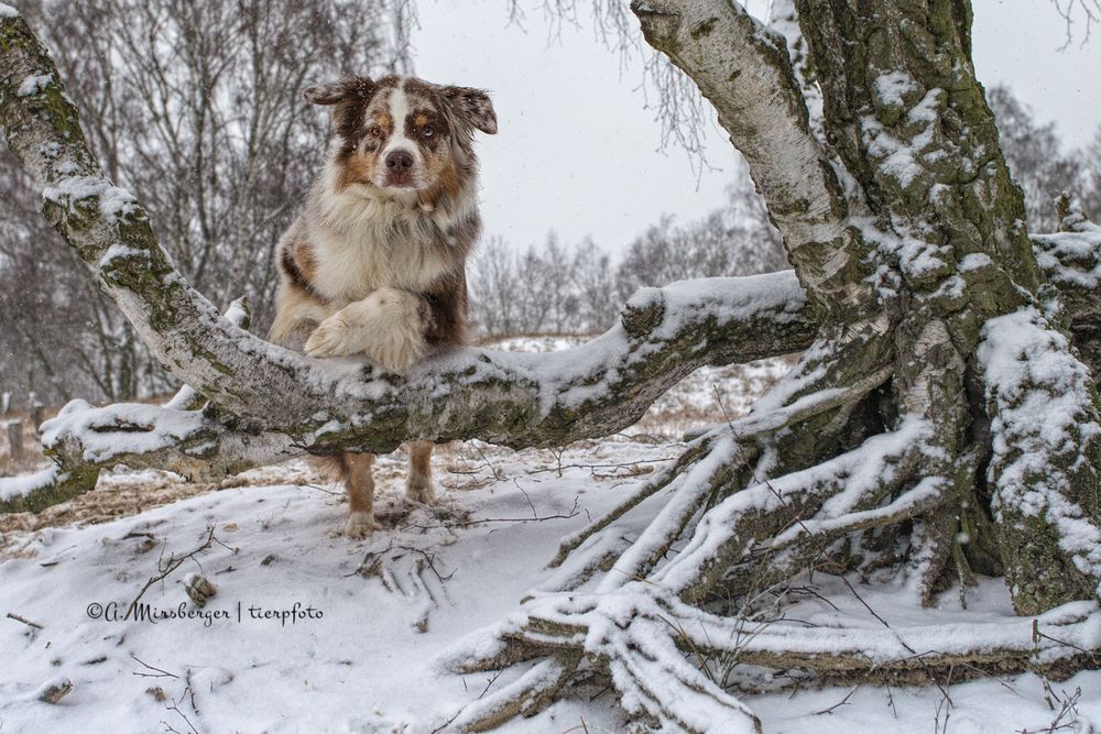 Hopp ins Wochenende!