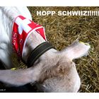 HOPP SCHWIIZ!!!!