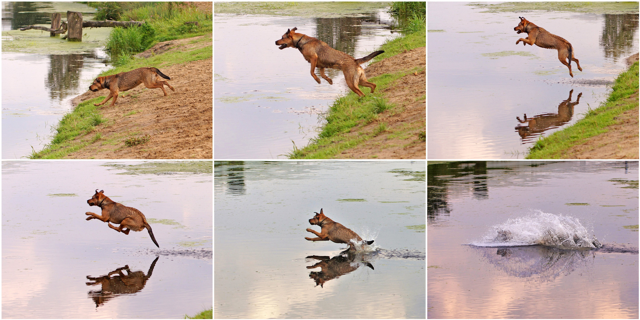 "Hopp und weg"