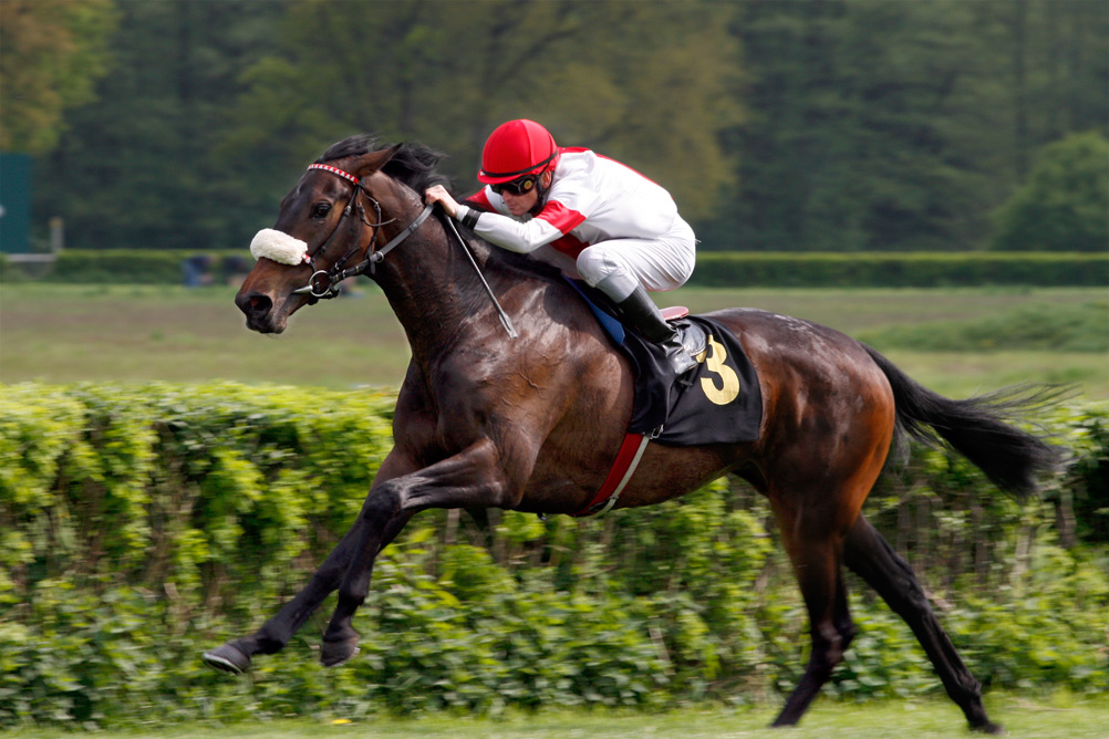 Hoppegarten